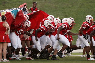 米兰体育app官网-全国青少年长跑赛在南京掀起跑步热潮，青少年长跑标准